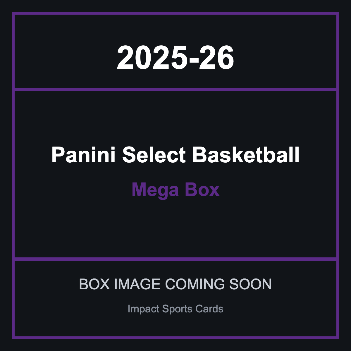 2025-26 Panini Select Basketball Mega Box - image coming soon