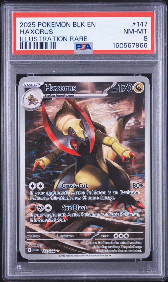 2025 Pokemon Blk En-Black Bolt Haxorus Illustration Rare PSA 8 #147