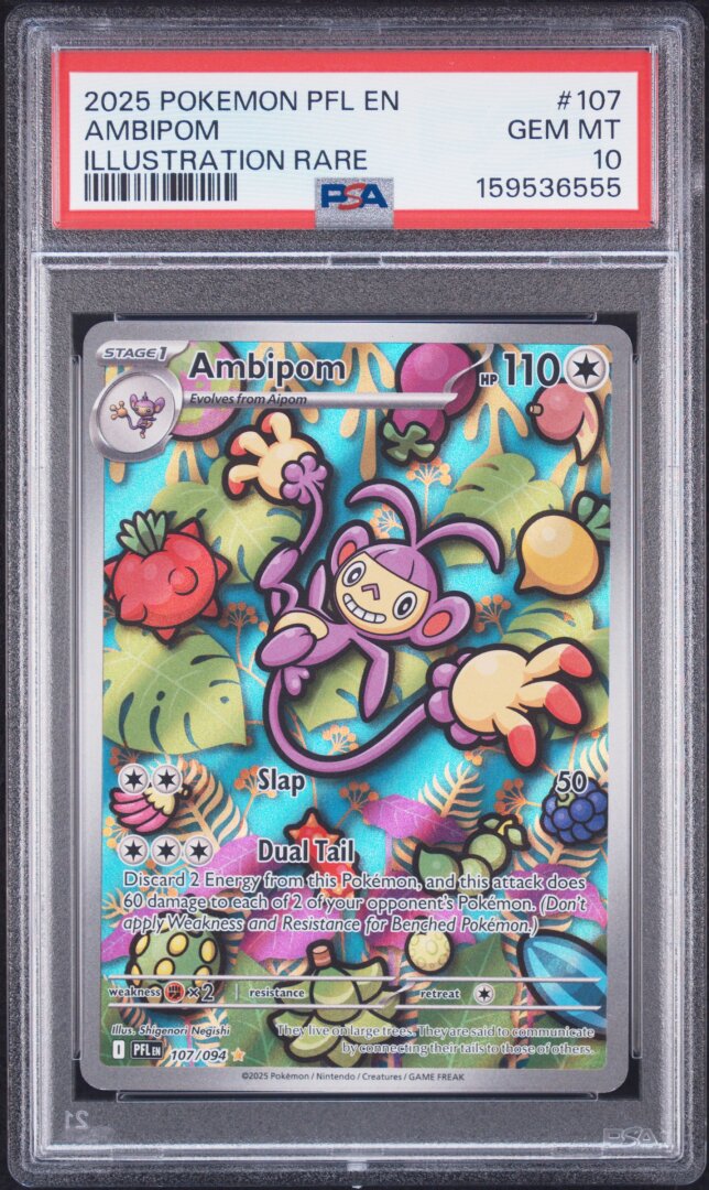 2025 Pokemon Pfl En-Phantasmal Flames Ambipom Illustration Rare PSA 10 #107