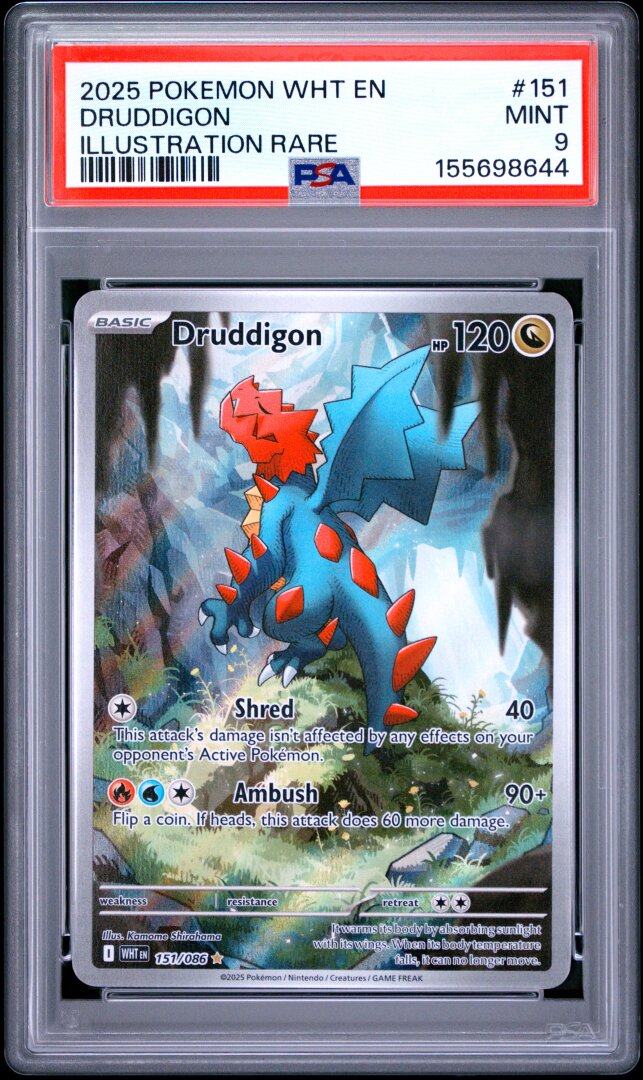 2025 Pokemon English White Flare Druddigon Illustration Rare PSA 9 #151