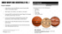 2026 Fanatics Under Wraps NBA Basketball Vol. I