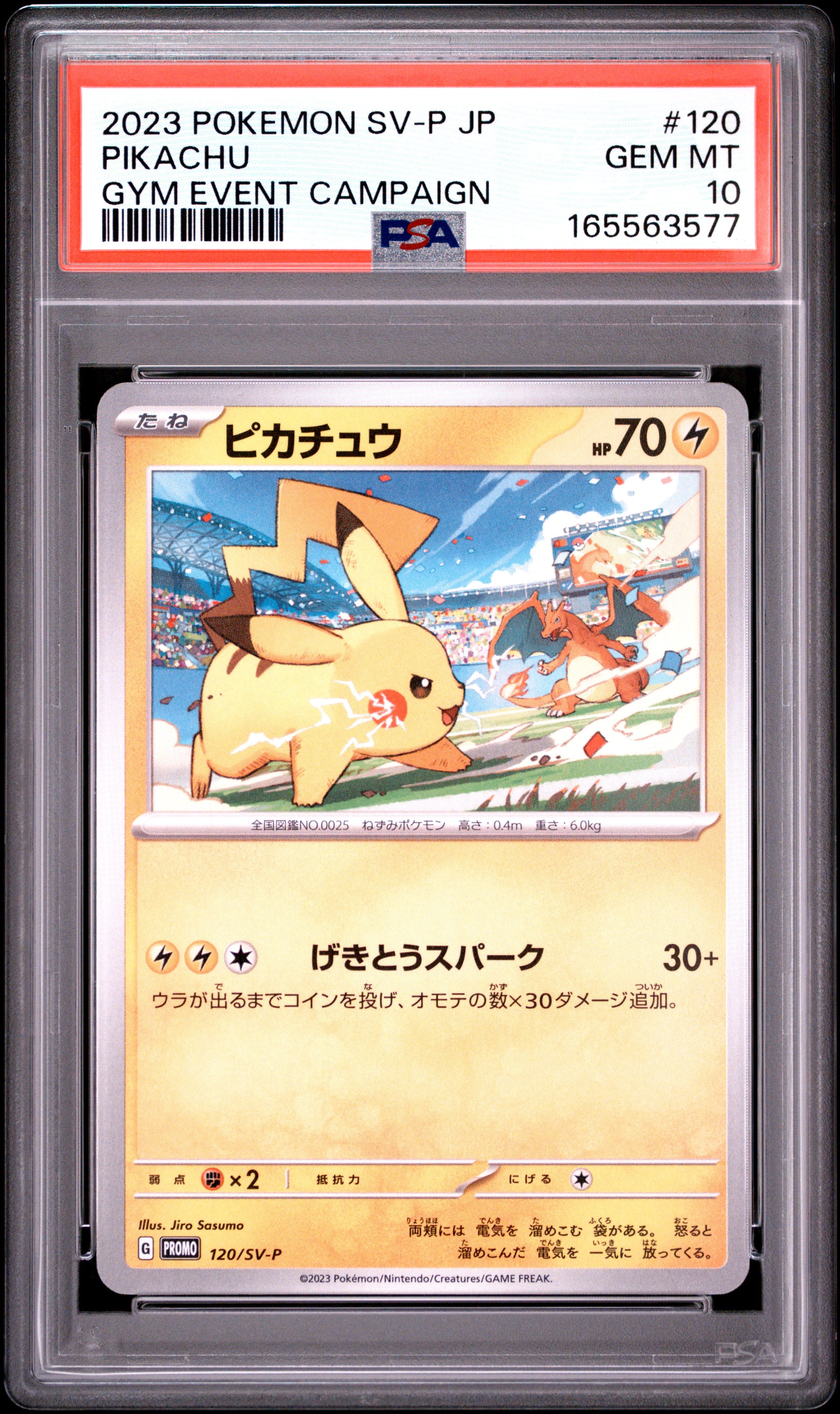 2023 POKEMON JAPANESE SV-P PROMO 120 PIKACHU GYM EVENT CAMPAIGN PSA 10 - front