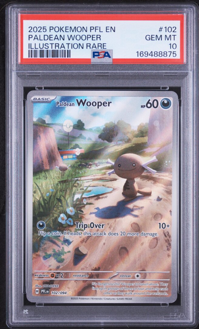 2025 Pokemon Phantasmal Flames Paldean Wooper Illustration Rare PSA 10 #102