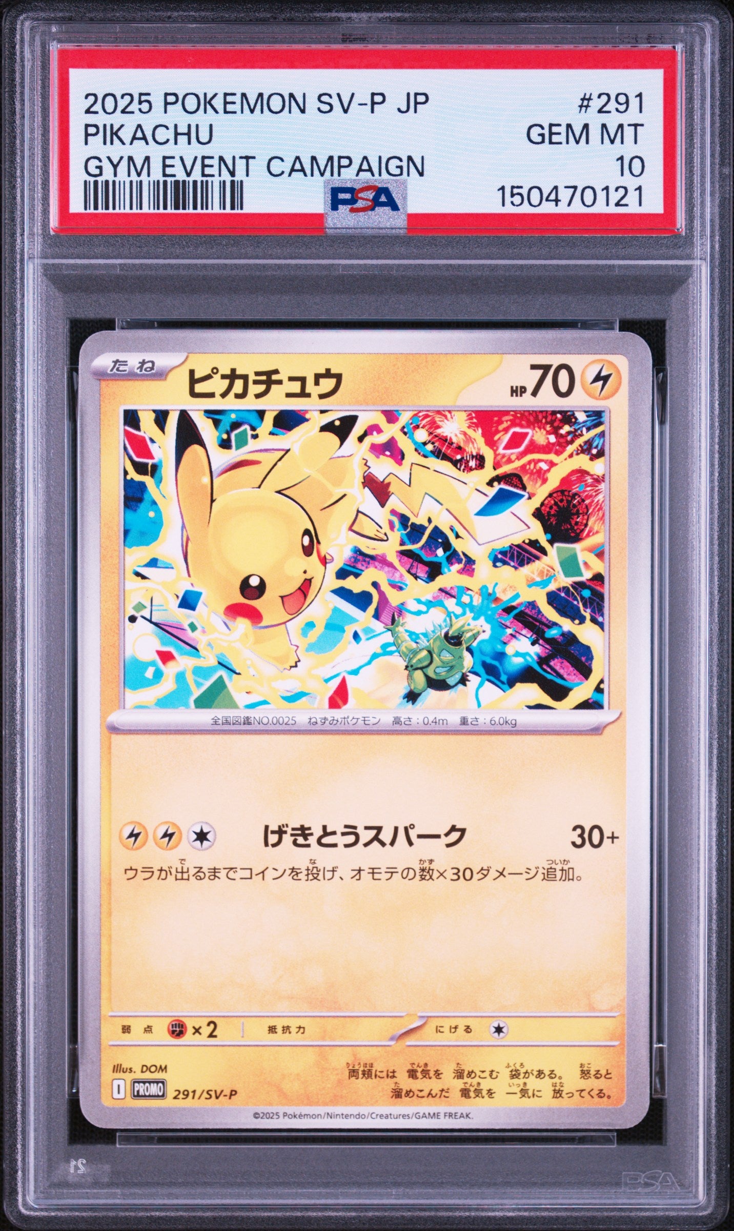 2025 POKEMON JAPANESE SV-P PROMO 291 PIKACHU GYM EVENT CAMPAIGN PSA 10 - front