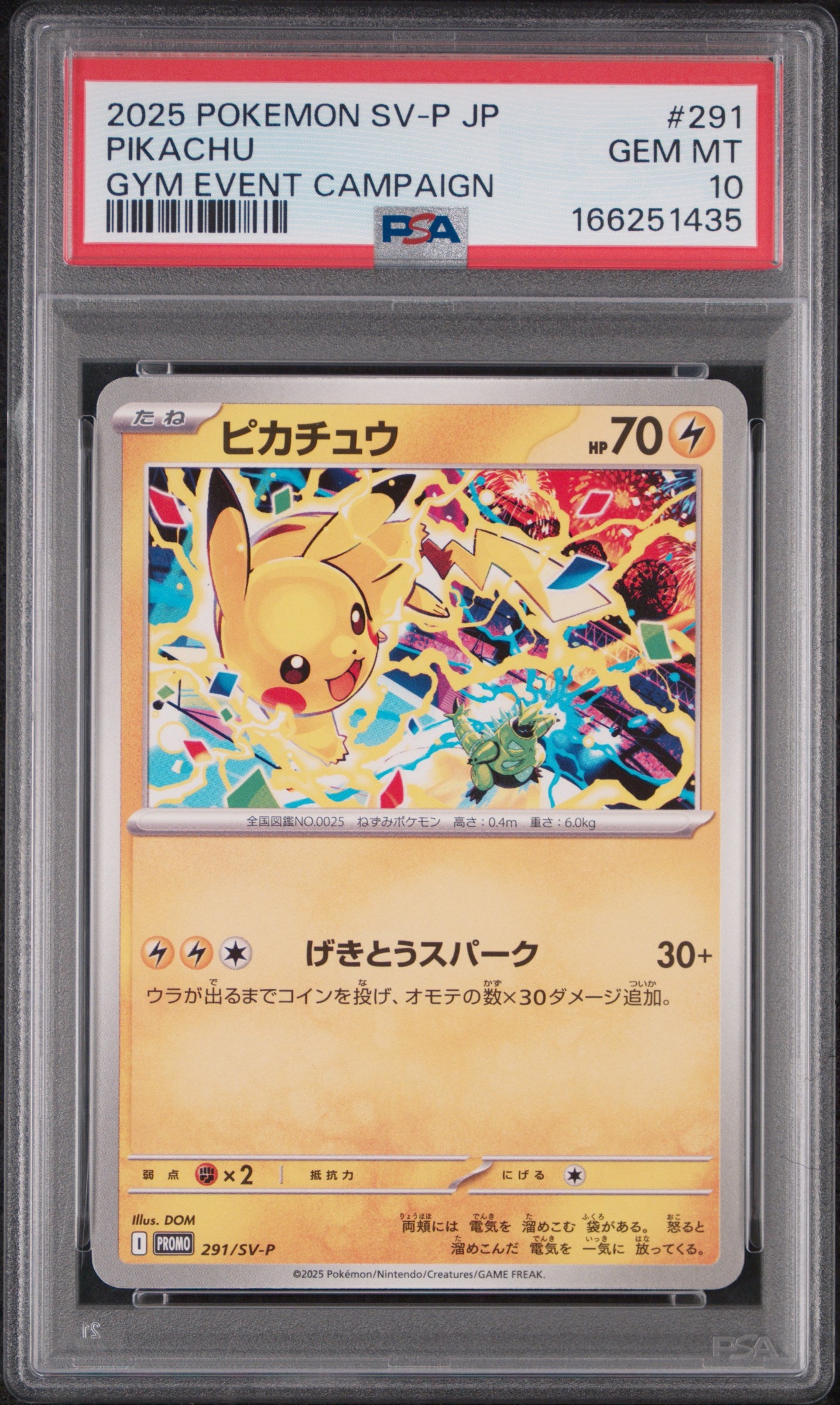 2025 POKEMON JAPANESE SV-P PROMO 291 PIKACHU GYM EVENT CAMPAIGN PSA 10 - front