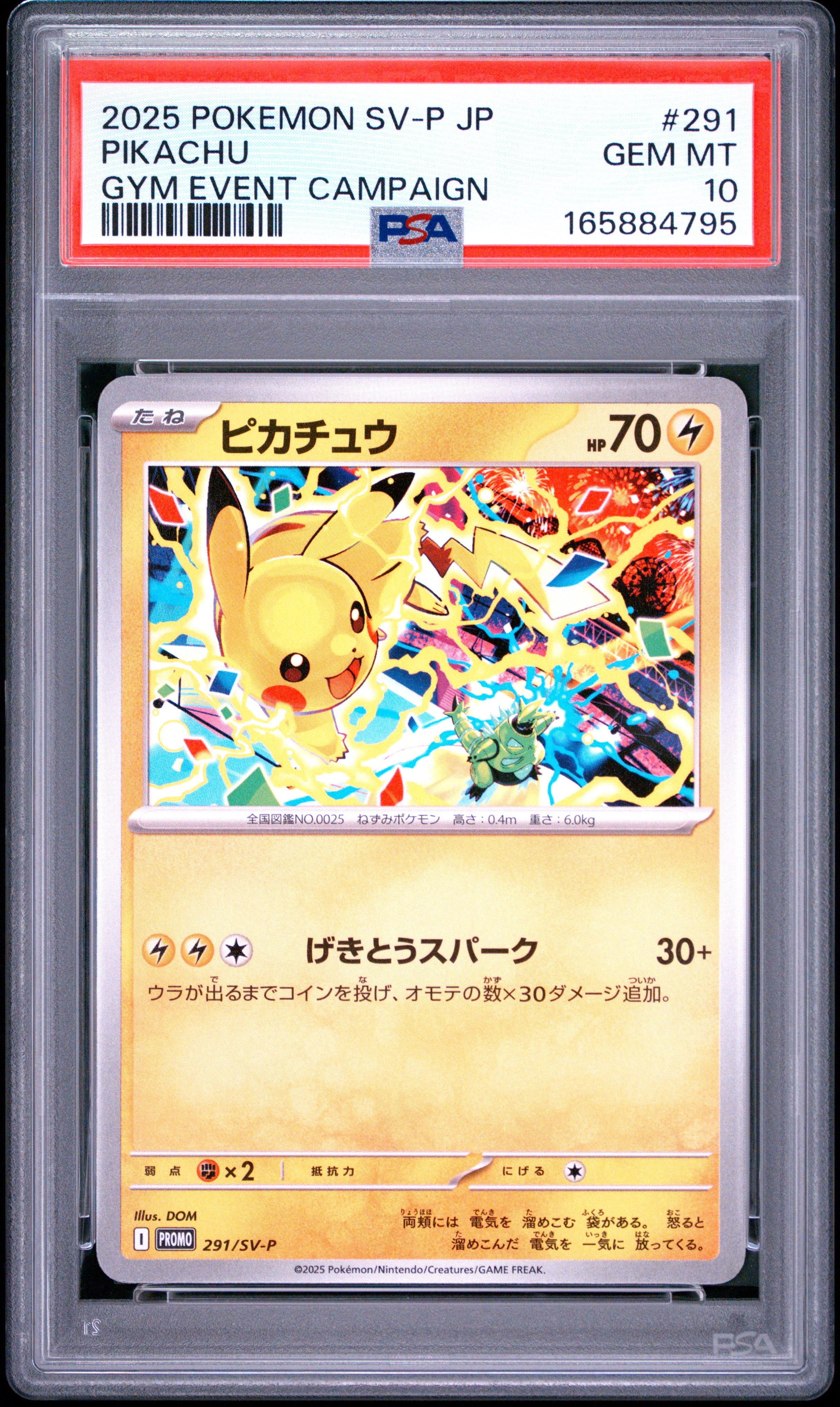 2025 POKEMON JAPANESE SV-P PROMO 291 PIKACHU GYM EVENT CAMPAIGN PSA 10 - front