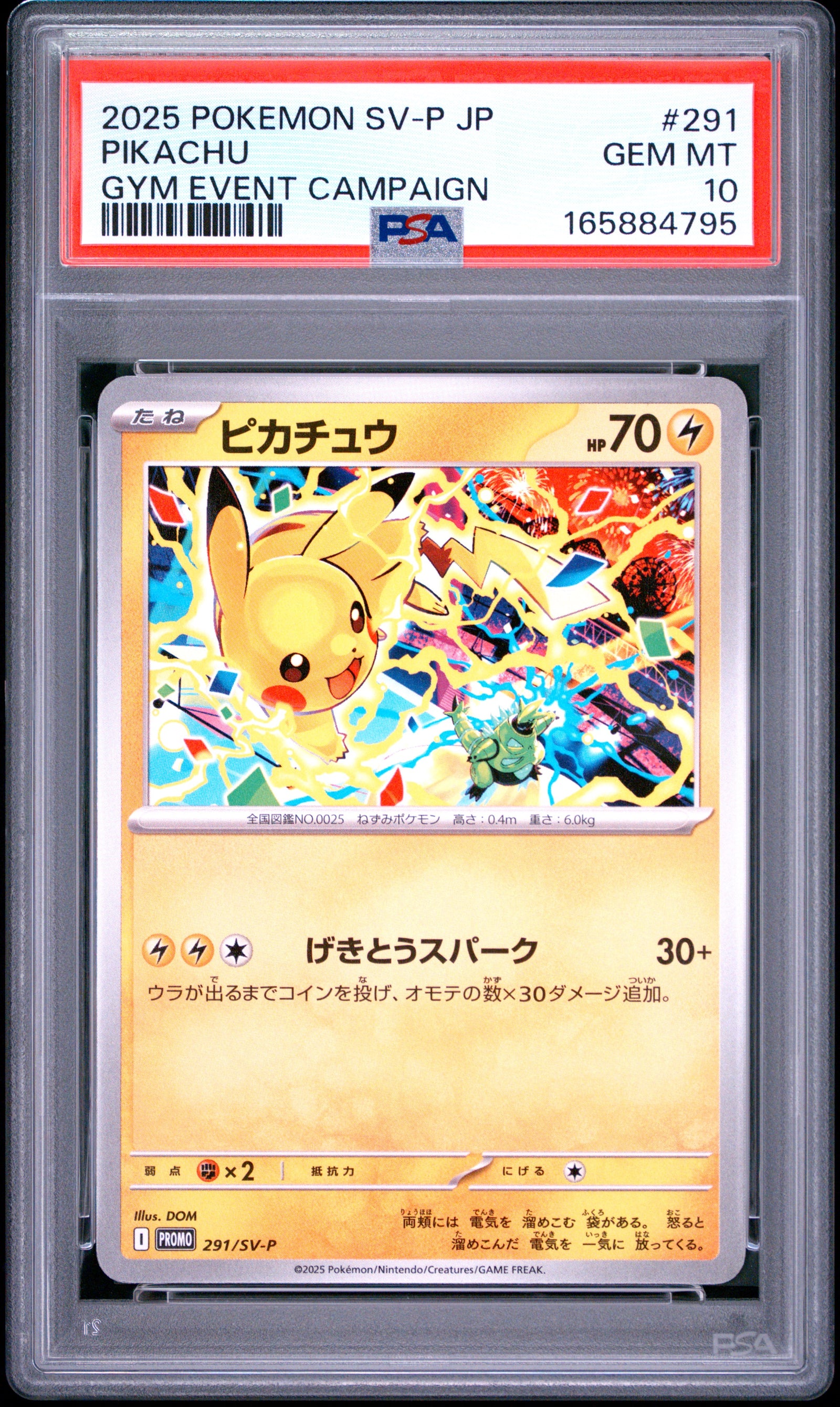 2025 POKEMON JAPANESE SV-P PROMO 291 PIKACHU GYM EVENT CAMPAIGN PSA 10 - front