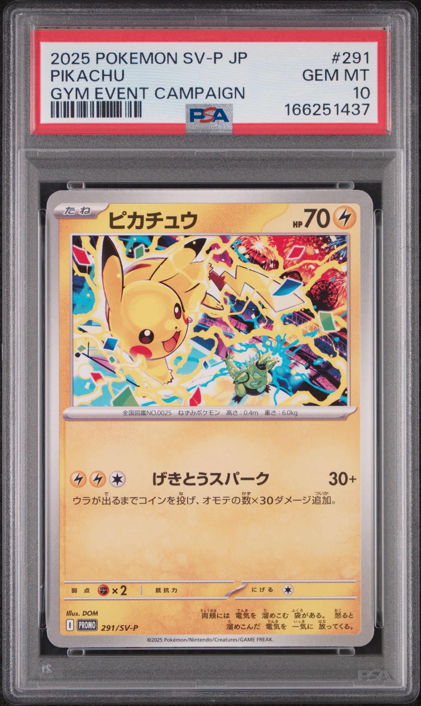 2025 POKEMON JAPANESE SV-P PROMO 291 PIKACHU GYM EVENT CAMPAIGN PSA 10 - front