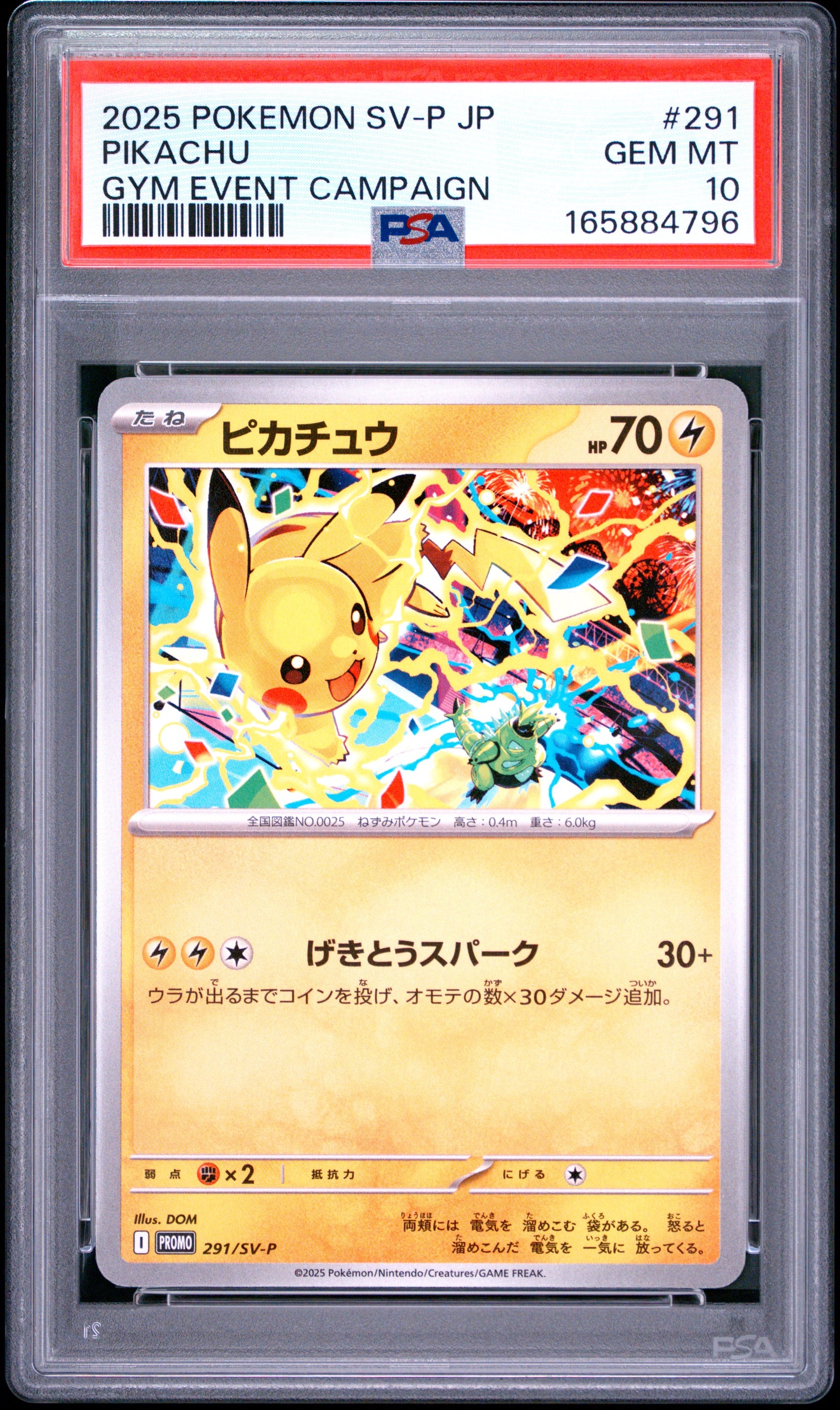 2025 POKEMON JAPANESE SV-P PROMO 291 PIKACHU GYM EVENT CAMPAIGN PSA 10 - front