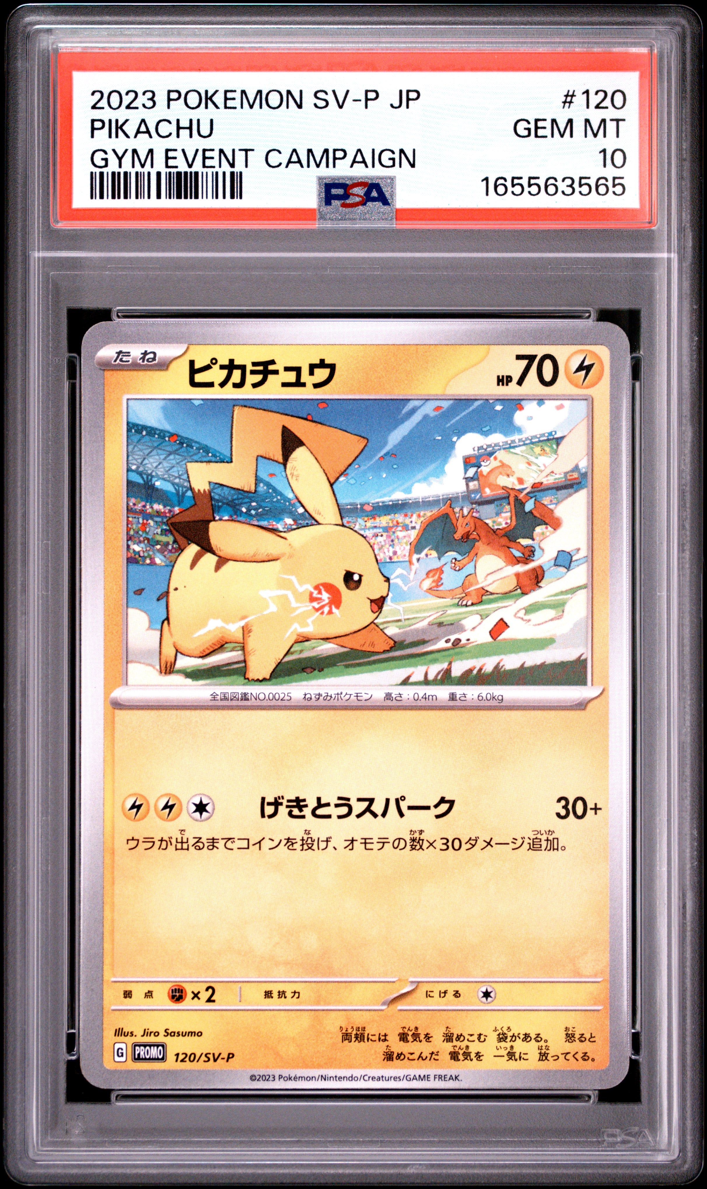 2023 POKEMON JAPANESE SV-P PROMO 120 PIKACHU GYM EVENT CAMPAIGN PSA 10 - front