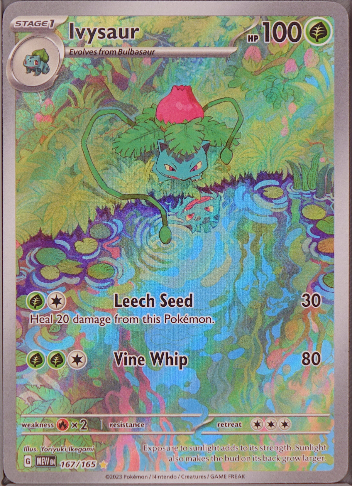 Ivysaur - 167/165