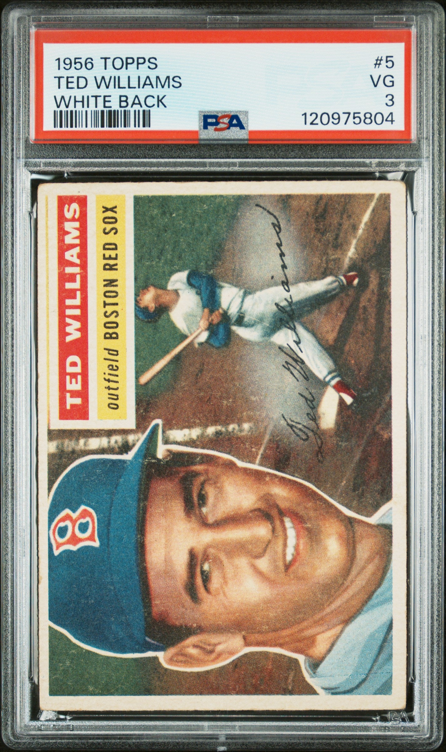 1956 TOPPS 5 TED WILLIAMS WHITE BACK PSA 3 - front