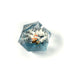 Sirius Dice MTG Avatar The Last Airbender 55mm Spindown D20