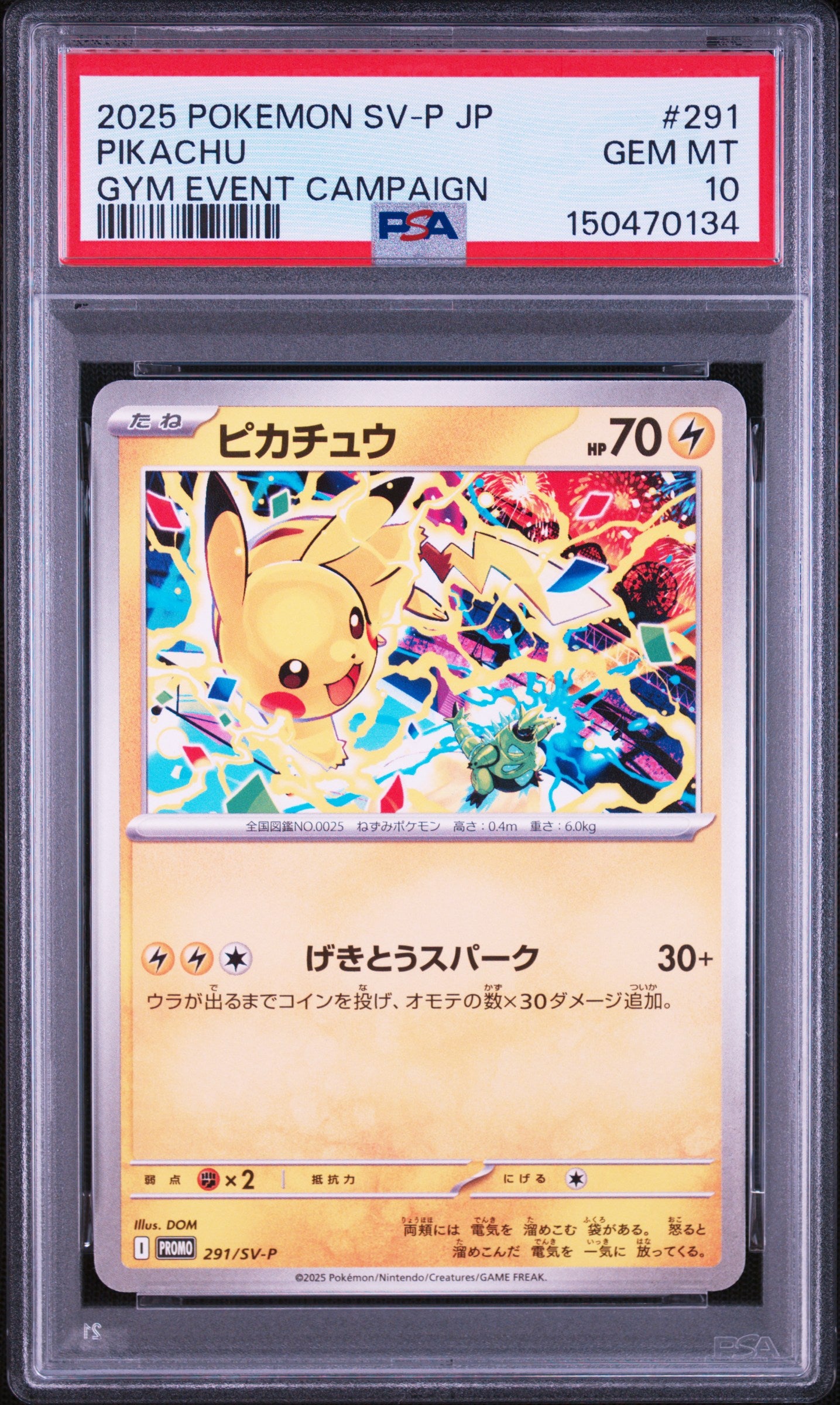 2025 POKEMON JAPANESE SV-P PROMO 291 PIKACHU GYM EVENT CAMPAIGN PSA 10 - front