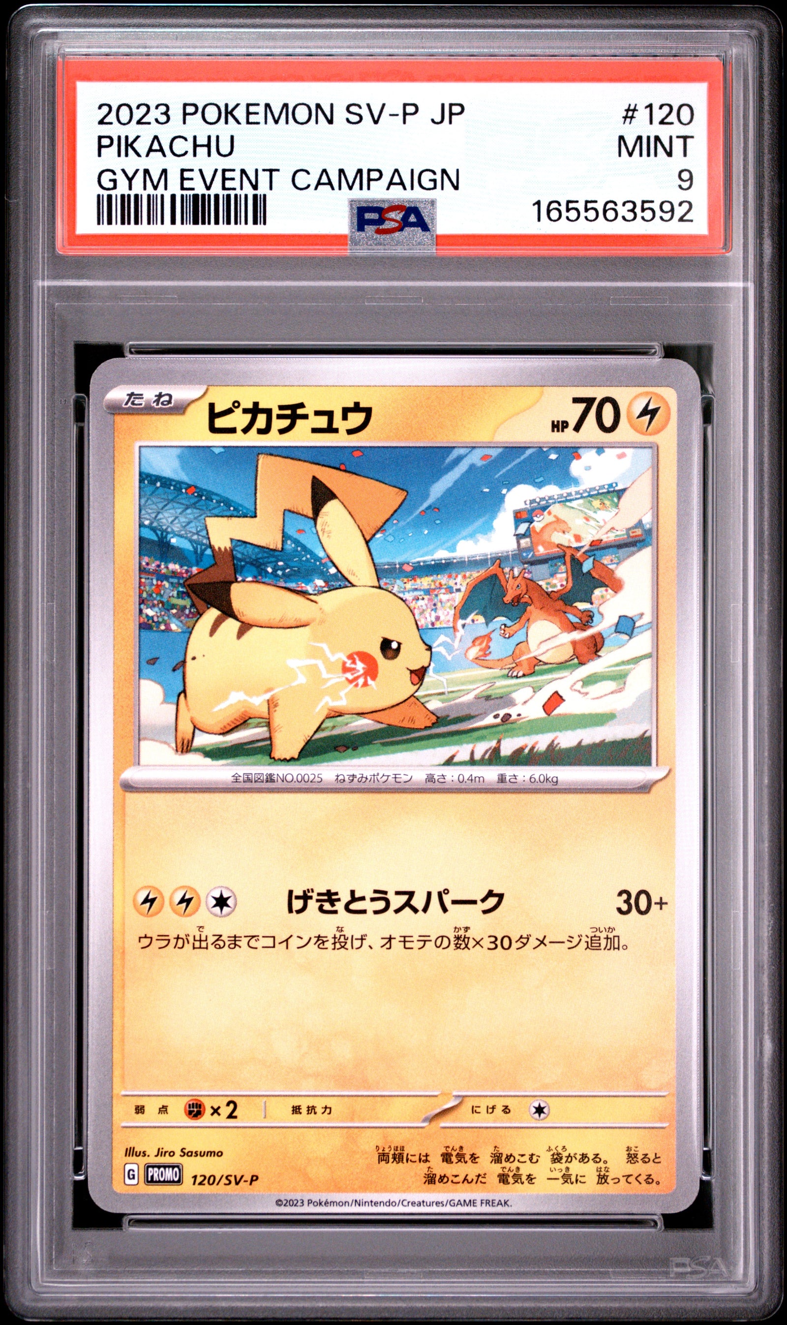 2023 POKEMON JAPANESE SV-P PROMO 120 PIKACHU GYM EVENT CAMPAIGN PSA 9 - front