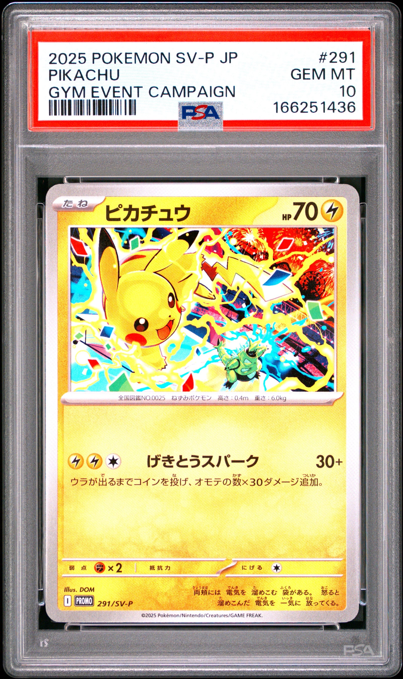 2025 POKEMON JAPANESE SV-P PROMO 291 PIKACHU GYM EVENT CAMPAIGN PSA 10 - front